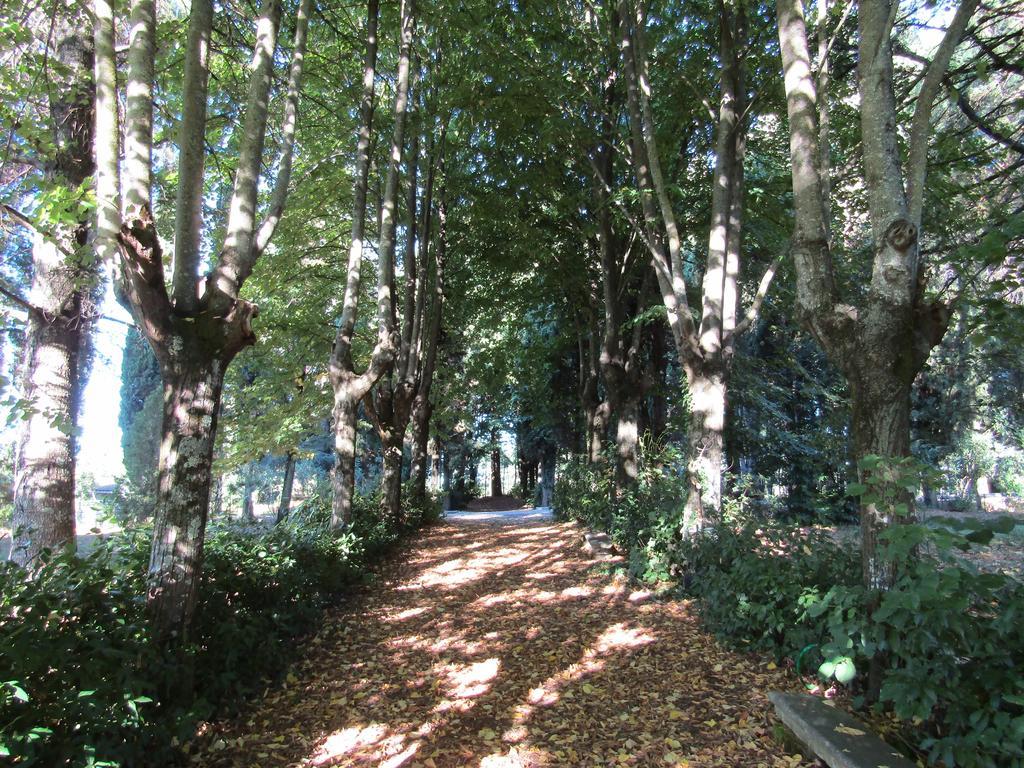 Monastero San Vincenzo - Casa Per Ferie Hotel Bassano Romano ภายนอก รูปภาพ